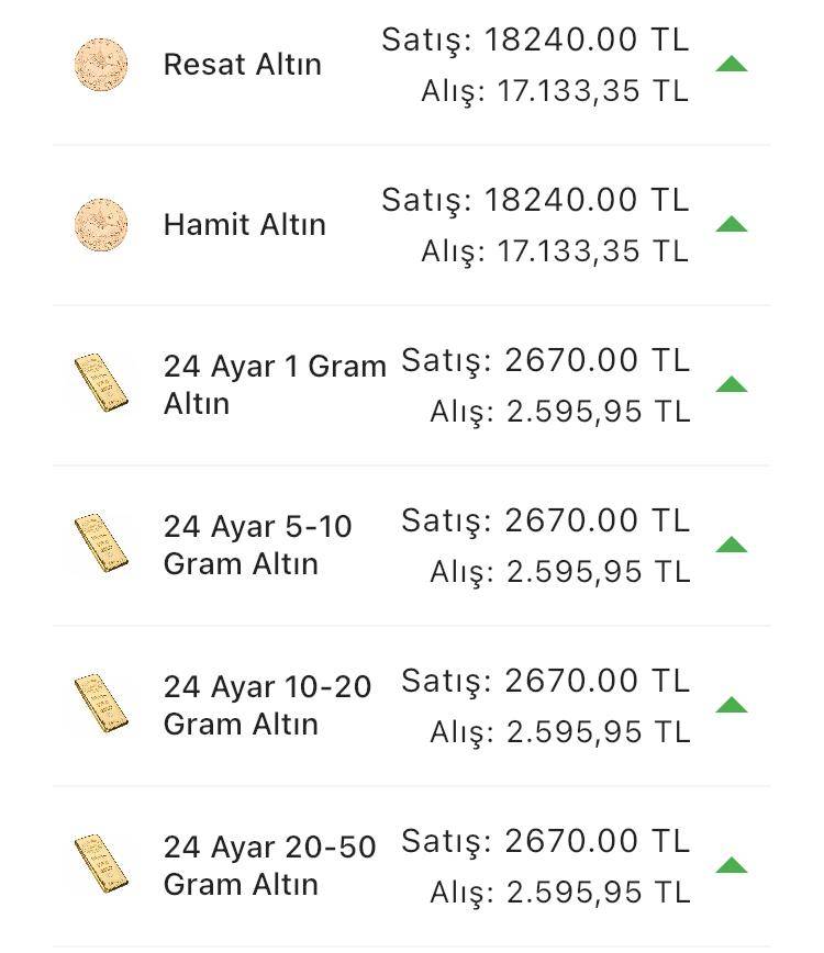 Konya’da altın fiyatları ve güncel döviz kurları I 17 Temmuz 2024 10